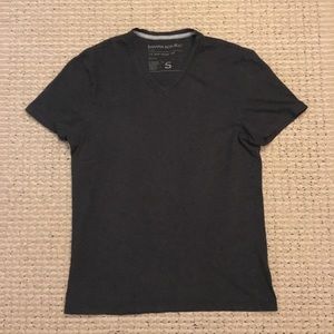 Banana Republic Gray V-Neck Soft-Wash Tee